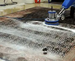 Professional rug cleaning with a rotary floor machine and shampoo foam, deep-cleaning an area rug, in Sarasota, FL.
